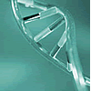DNS