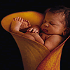 Anne Geddes