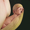 Anne Geddes
