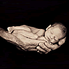 Anne Geddes