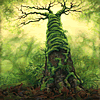 Grow Tree