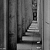 Vertical