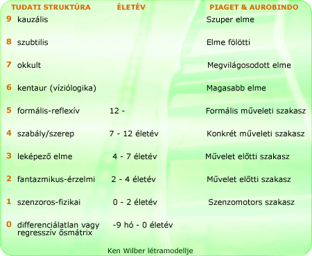 Wilber létramodell 3