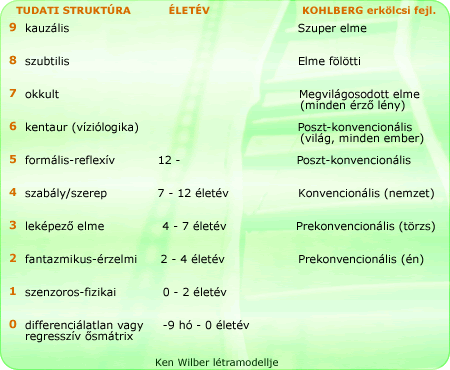 Wilber létramodell 4